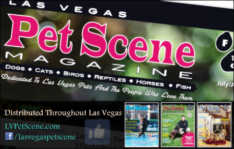 Pick up Las Vegas Pet Scene Magazine at hundreds of locations throughout Las Vegas